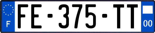 FE-375-TT