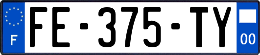 FE-375-TY