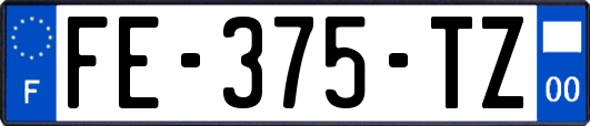FE-375-TZ