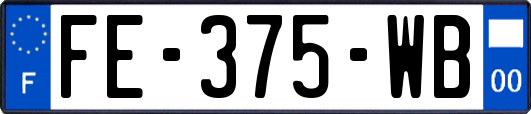 FE-375-WB