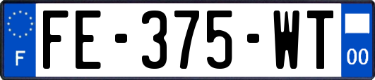 FE-375-WT