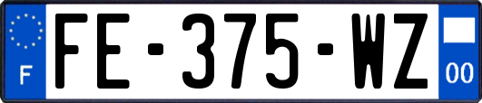 FE-375-WZ