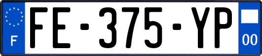 FE-375-YP