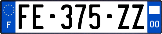 FE-375-ZZ