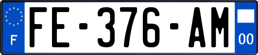 FE-376-AM