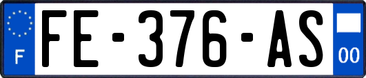 FE-376-AS