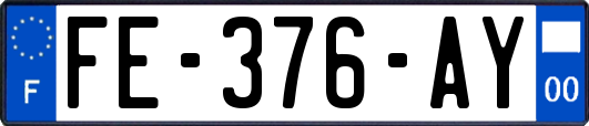 FE-376-AY