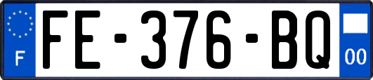 FE-376-BQ