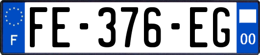 FE-376-EG