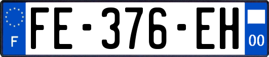 FE-376-EH