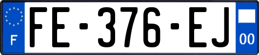 FE-376-EJ
