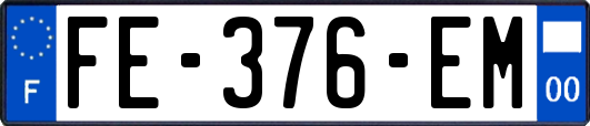 FE-376-EM