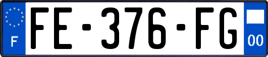 FE-376-FG