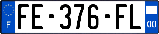 FE-376-FL