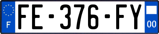 FE-376-FY