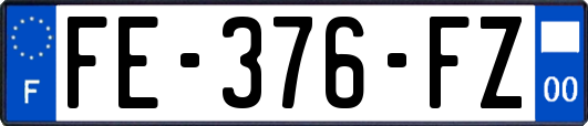 FE-376-FZ