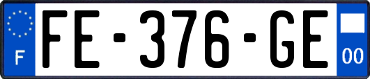 FE-376-GE