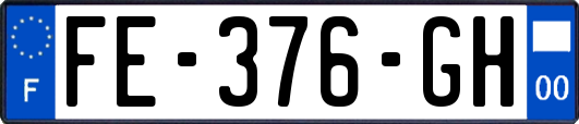 FE-376-GH