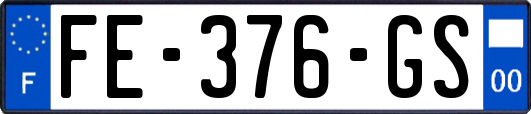 FE-376-GS
