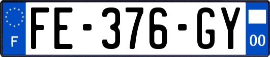 FE-376-GY