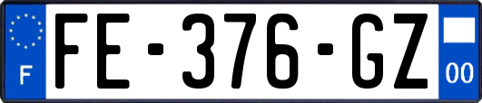 FE-376-GZ