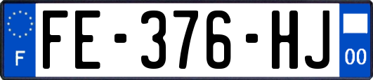 FE-376-HJ