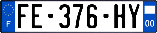 FE-376-HY