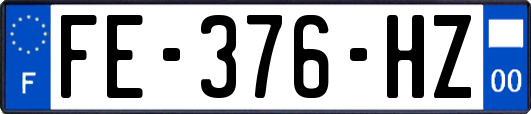 FE-376-HZ
