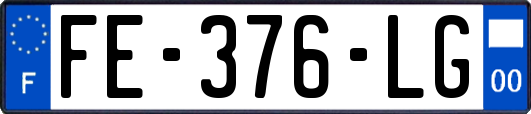 FE-376-LG