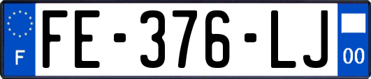FE-376-LJ