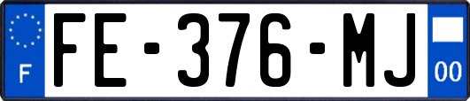 FE-376-MJ