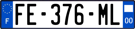 FE-376-ML