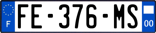 FE-376-MS