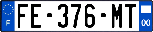 FE-376-MT