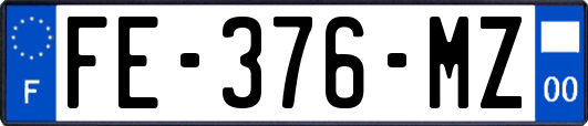 FE-376-MZ