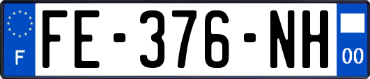 FE-376-NH