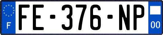 FE-376-NP