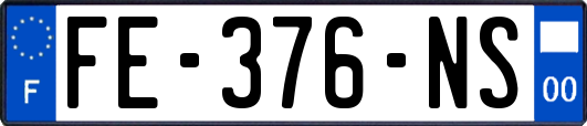 FE-376-NS