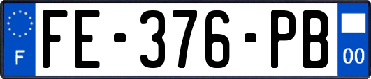 FE-376-PB