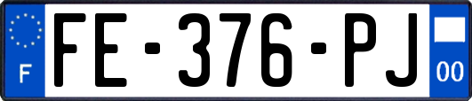 FE-376-PJ