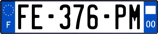 FE-376-PM