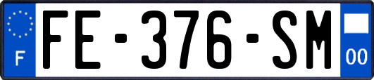 FE-376-SM