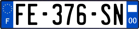 FE-376-SN