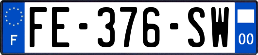 FE-376-SW