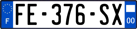 FE-376-SX
