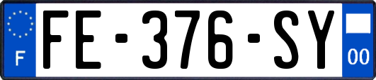 FE-376-SY