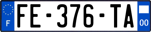 FE-376-TA