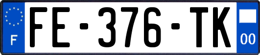 FE-376-TK