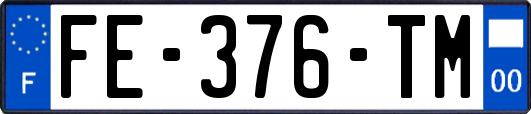 FE-376-TM