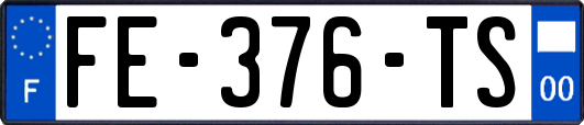FE-376-TS